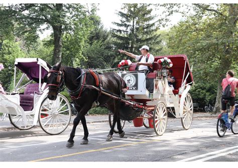 NYC Horse Carriage Rides - Central Park Carriage Rides - Proudly ...