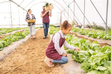 How to Start Greenhouse Farming in Haryana: Crops, 1 Acre Greenhouse ...