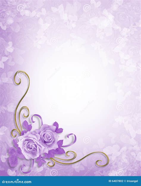 Wedding Roses Lavender Background Stock Illustration - Illustration of invitation, holiday: 6407802