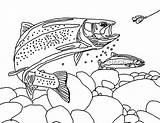 Apache Trout Chasing Fisherman Bair Coloring Pages  Best Place To sketch template