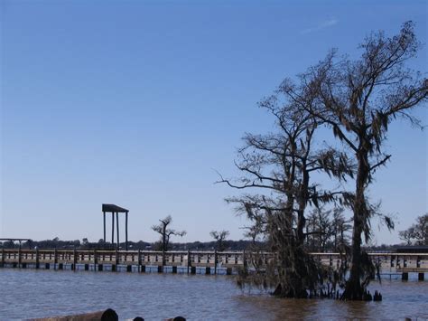 Lake Arthur Walk Way in the Park 2-19-2008....Jennifer Authement | Lake, Southwest louisiana ...