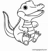 Alligator Coloring Pages  Coloring Pages For Kids And Adults sketch template