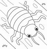 Pill Bug Coloring Pages sketch template
