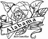 Alabama Drawing  Free Download On ClipArtMag sketch template