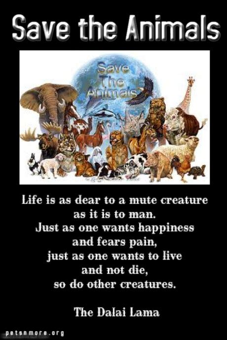 Save The Animals Quotes. QuotesGram