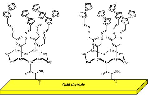 Preparation self-assembled monolayer on gold surface with... | Download Scientific Diagram