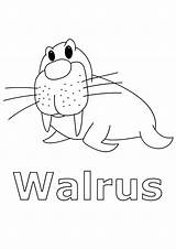 Free Printable Walrus Coloring Pages For Kids sketch template