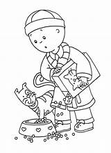 All Caillou Coloring Pages sketch template