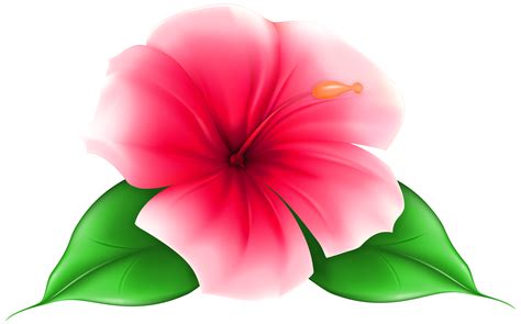Exotic flower clipart - Clipground