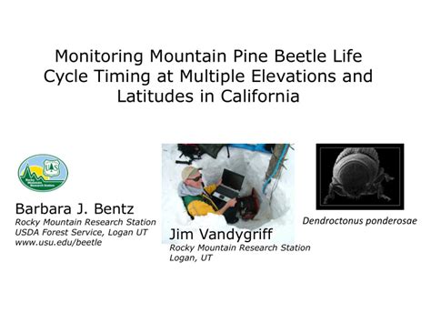 [PPT] - Monitoring Mountain Pine Beetle Life Cycle Timing at Multiple PowerPoint Presentation ...