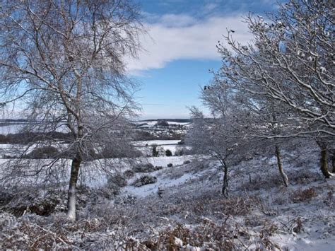 Dorset Wildlife Trust Launches January Half Price Membership Offer ...