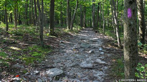 Catoctin Mountain Park | THURMONT VISTA LOOP HIKE