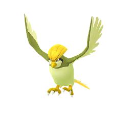 Pidgeotto (Pokémon GO) - Best Movesets, Counters, Evolutions and CP