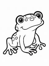 Free Printable Adorable Frog coloring Page  Download Print Or Color sketch template