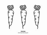 Carrots Coloring Page sketch template