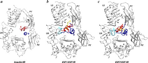 Membranes | Special Issue : Structure and Function of Membrane Receptors