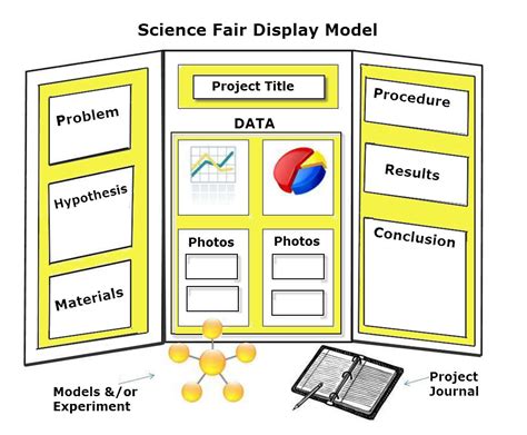 Science Fair Competition – Colebourne Primary School