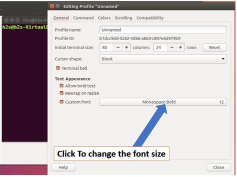 How to Change Terminal Font Size and Color in Ubuntu Linux - H2S Media