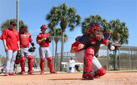 Sunday at Cards spring training | St. Louis Cardinals | stltoday.com