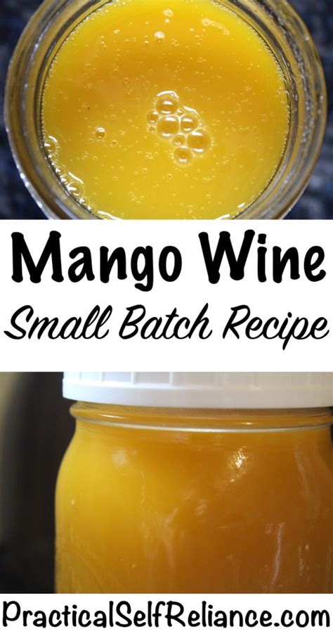 Mango Wine Recipe