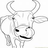 Dairy Cow Coloring Pages At GetColoringscom  Free printable Colorings sketch template