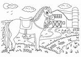 Horse Farm Coloring Pages  Vrogueco sketch template