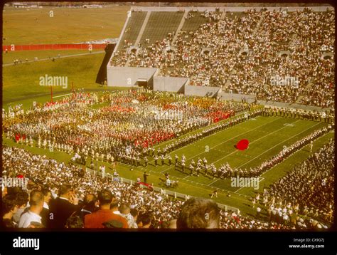 Crowd football stadium sports hi-res stock photography and images - Alamy