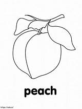 Simple Peach Fruit coloring Page sketch template