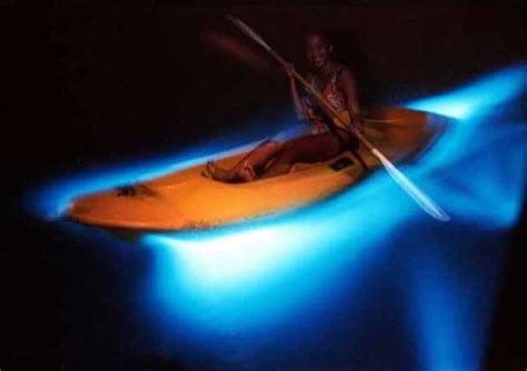 Luminous Lagoon Glistening Water Tour - Jamaica Get Away Travels