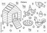 Coop Coloring Pages sketch template
