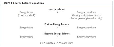 Energy balance equation: The key to weight management • Bodybuilding Wizard