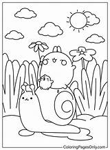 Polar Worksheets Molang Tsgos Entitlementtrap Getdrawings  sketch template