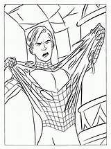 Spiderman Color Sheets Printable sketch template
