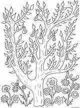 Adult Cute Tree With Leaves And Pears Olivier Coloring Pages Printable sketch template
