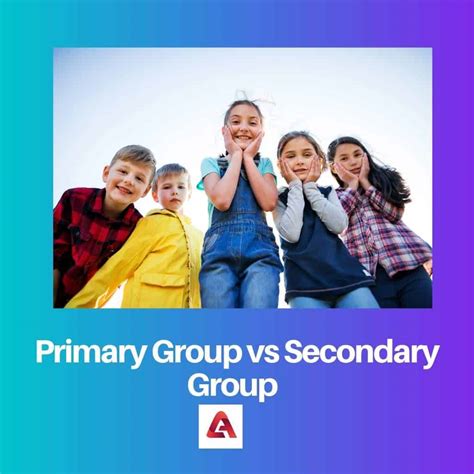 Primary vs Secondary Group: Difference and Comparison