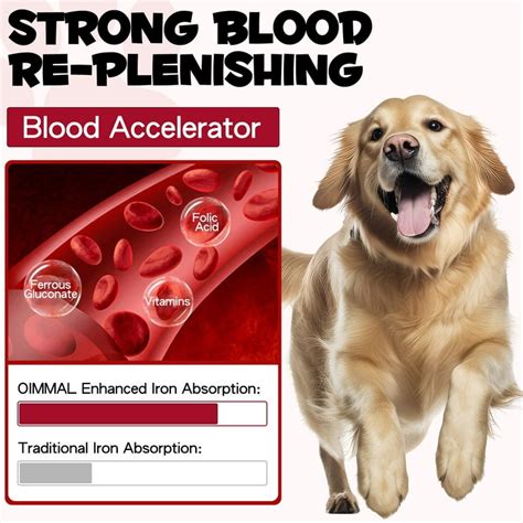 Anemia Hemoglobin Food Chart | chem-trac.com