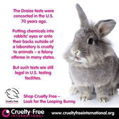 1000+ images about Animal Testing Facts on Pinterest | Cruelty free, Cosmetics and Animal testing