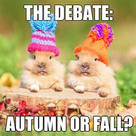 These 12 Fantastic Fall Memes Will Have You Smiling