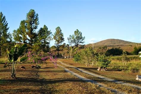 New Caledonia 2010: Autour de Bourail - photo