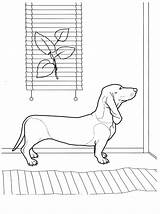 Dachshund Coloring Pages  Best For Kids sketch template