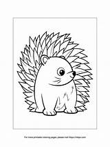 Printable Cute Porcupine Coloring Page · InkPx sketch template