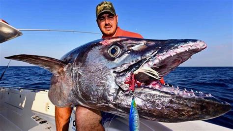 How to Catch a Dogtooth Tuna | Ocean Blue Fishing