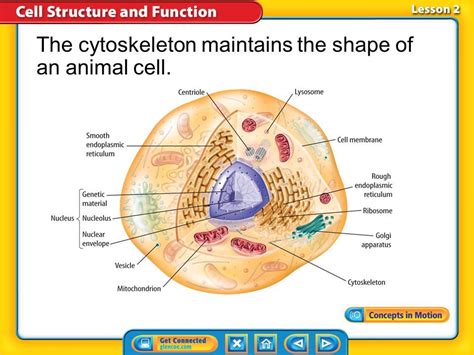 Randomness could not design a cell, let alone, a life | Vern Bender