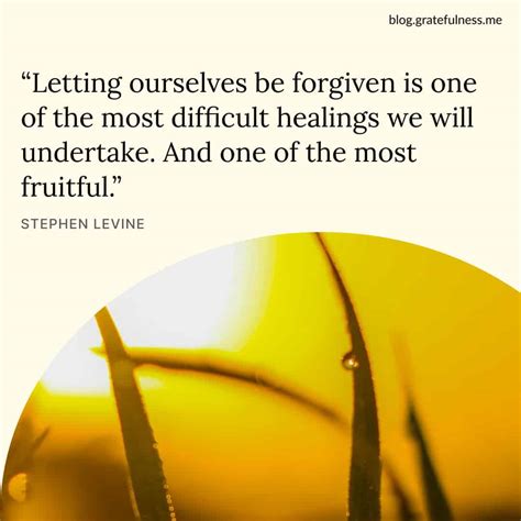 60+ Forgiveness Quotes to Move On from Resentment into Freedom