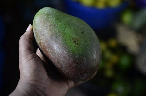 Eight (8) Varieties of Nigerian Mangoes | Kitchen Butterfly