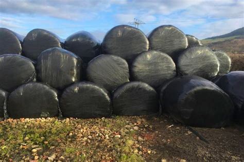 200 Bales Grass Silage | SellMyLivestock - The Online Livestock Marketplace