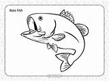 Free Printable Bass Fish Coloring Page Colouring  sketch template