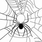 Spooky Spider Web Coloring Page  Pagescom sketch template