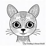 Cat Face Coloring Pages  Free & Printable sketch template