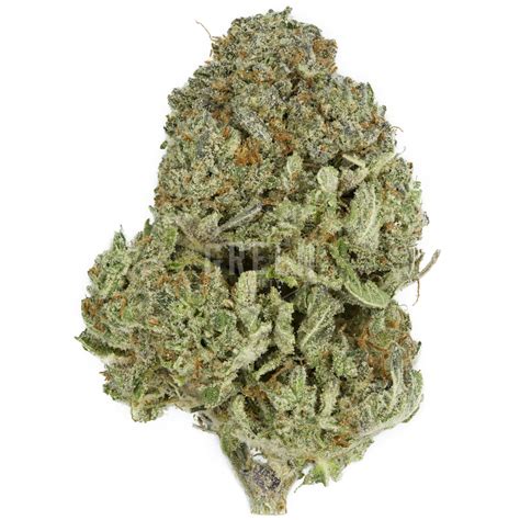 Tropic Thunder | Buy Weed Online Canada | Green Society